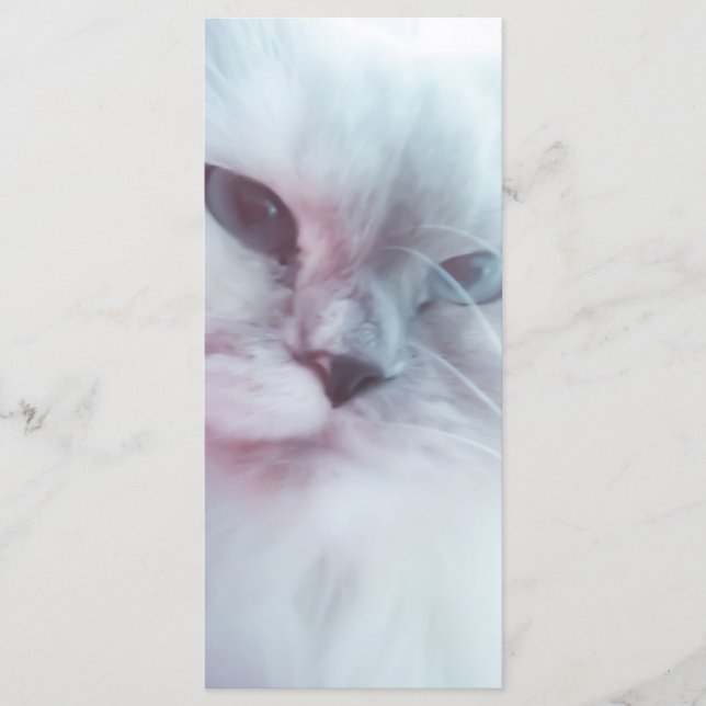 Menu Lilly Bookmark (Frente)