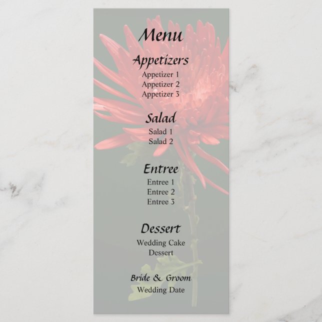Menu Mãe Aranha Vermelha (Frente)
