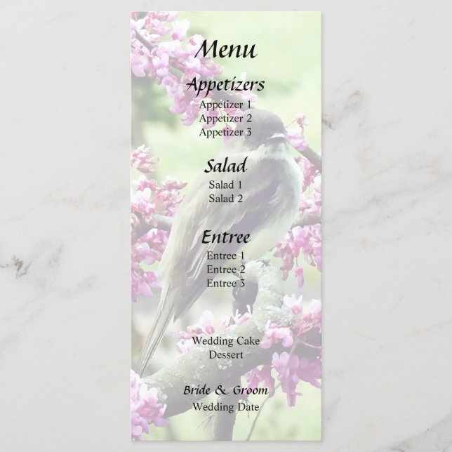 Menu Phoebe em uma Árvore Redbud (Frente)
