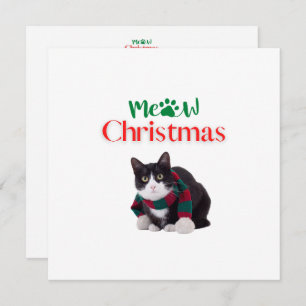 MEOT CHRISTMAS CAT