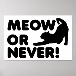 Meow ou Nunca Engraçado Poster