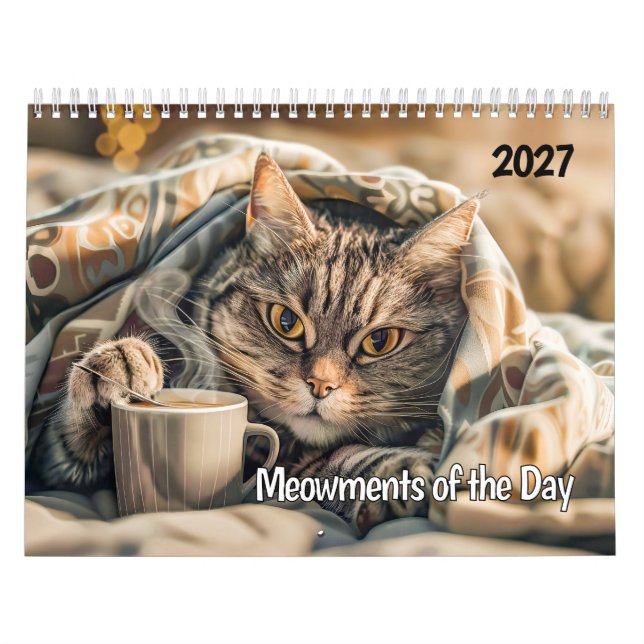 Meowmentos do Dia - Calendário de Gatos (Capa)