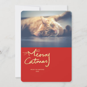 Meowy Catmas Dourado Cartões de foto de Natal de G