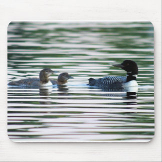 Mergulhão-do-norte Mousepad