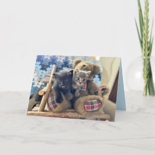 Merlin & Guinevere (1)- Cartão de Saudação Cat / K