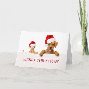 MERRY CHRISTMAS - Cartão de Saudação CACHORRO E CA