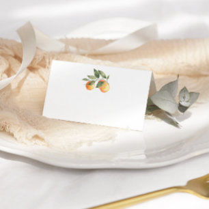 Mesa cartão de lugar de casamento citrus cutie