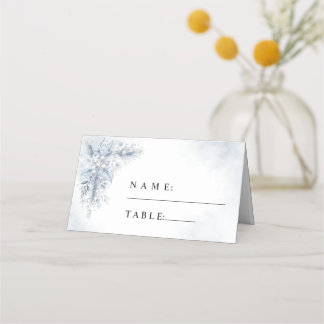 Mesa Cartão de Lugar de Casamento de Inverno com Frutas