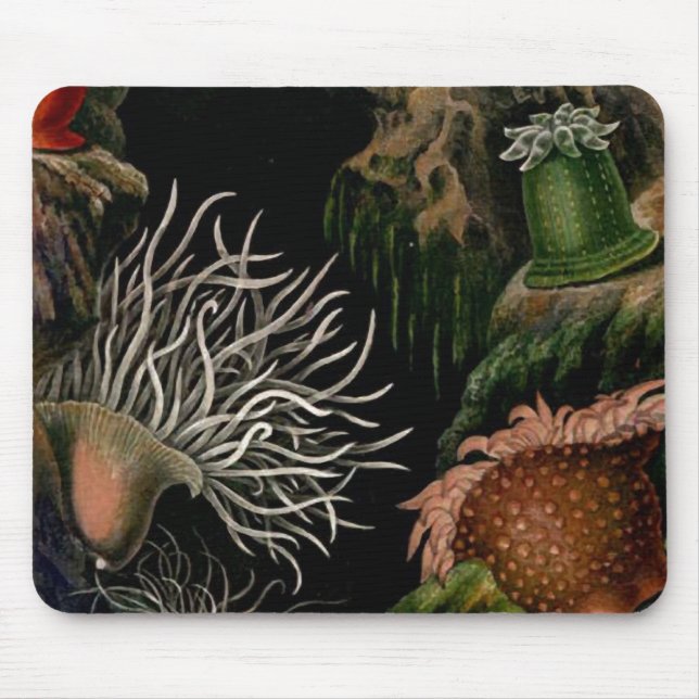 Mesa/escritório náuticos de SeaLife Mousepad da (Frente)