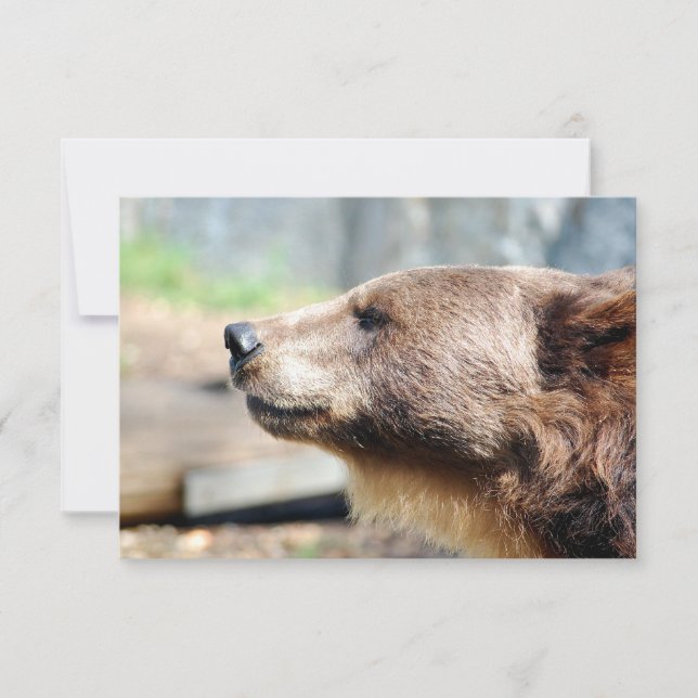 Mestre Bruin (Frente)