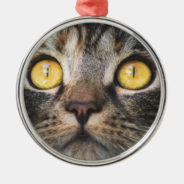 Metal Encerramento de Cat com ornamento cerâmico de olho (Frente)