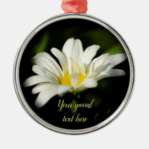 Metal Modelo de Ornamento Redondo Premier