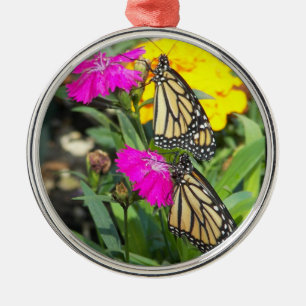 Metal O monarca junta o ornamento redondo de #2-premium