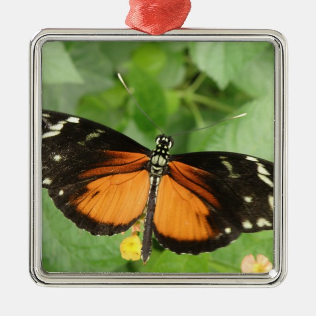 Metal Ornamento da Borboleta de Tiger Longwing (Frente)