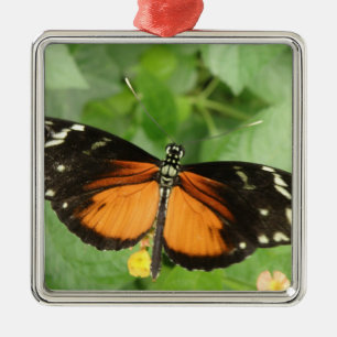 Metal Ornamento da Borboleta de Tigre