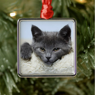 Metal Ornamento Da Face De Gato De Cinza Doce