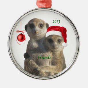 Metal Ornamento de 2013 amigos