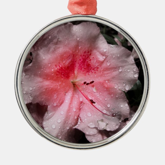 Metal Ornamento de Brilho Interior (Frente)