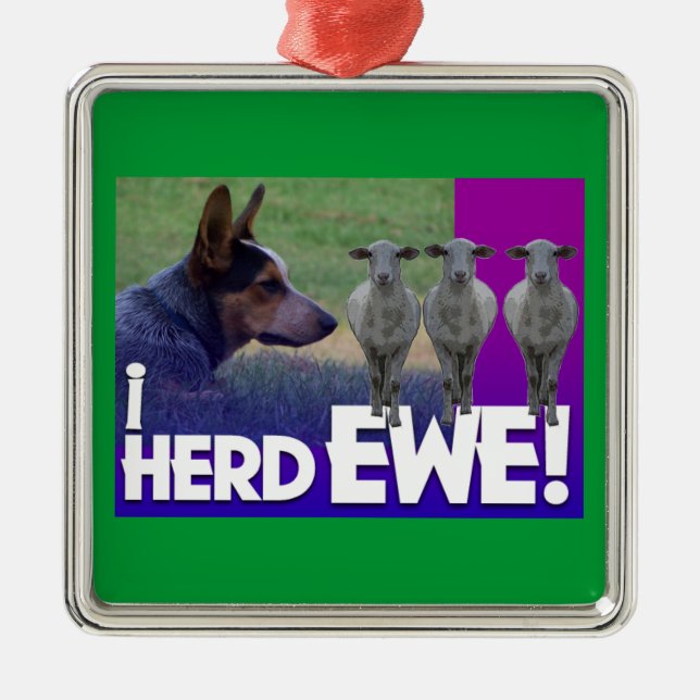 METAL ORNAMENTO DE CACHORRO AUSTRALIANO EU HERD EWE (Frente)