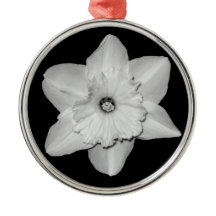 Ornamento de Fechamento do Daffodil (B&W)