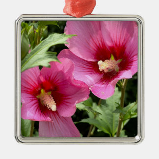 Metal Ornamento de Foto de Flor de Hibisco 