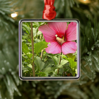 Metal Ornamento de Foto de Flor de Hibisco 