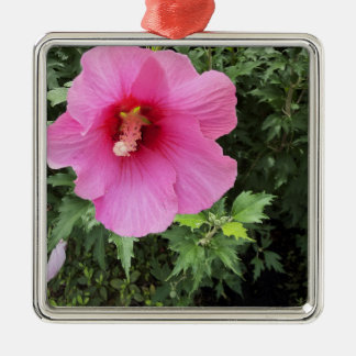 Metal Ornamento de Foto de Flor de Hibisco 