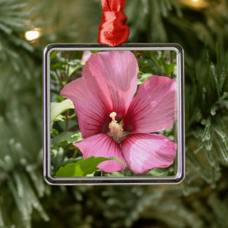 Metal Ornamento de Foto de Flor de Hibisco 