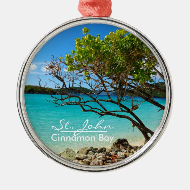 Metal Ornamento de Frame de Prata de John Cinnamon Bay (Frente)