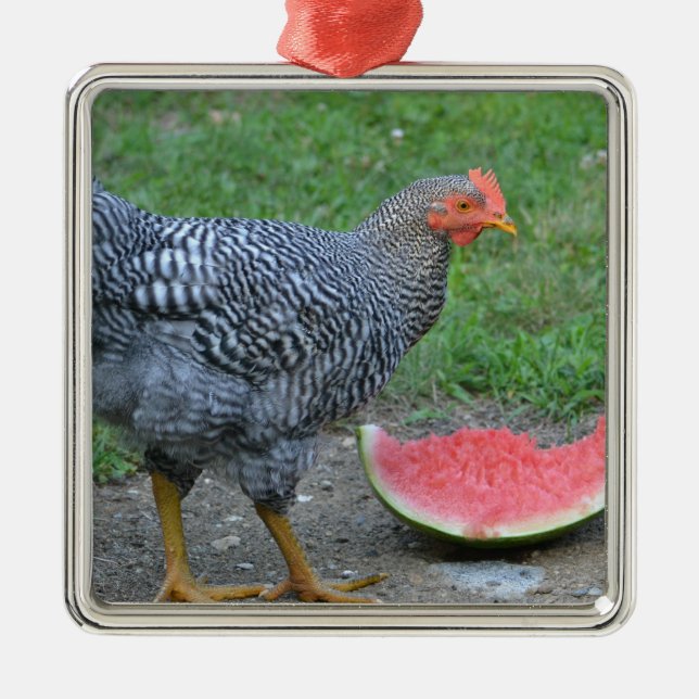 Metal Ornamento de frango (Frente)