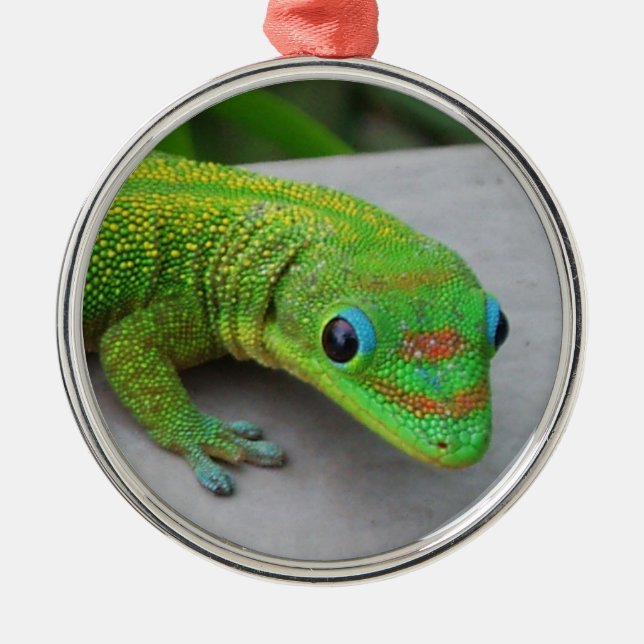 Metal Ornamento de Gecko Dourado Dia de Poeira (Frente)