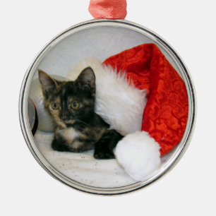 Metal Ornamento de Natal de Holley (Cat / Kitten)