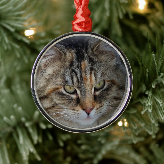 Metal Ornamento de retrato de gato tabby de Natal (Árvore)