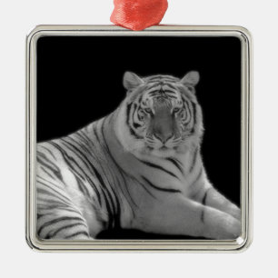 Metal Ornamento de Tigre Branco