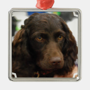 Metal Ornamento do Spaniel de Boykin