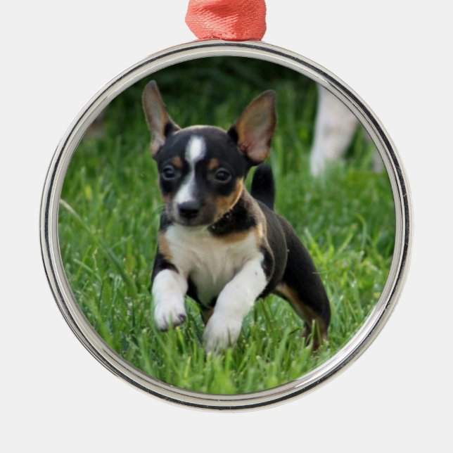 Metal Ornamento do terrier de rato (Frente)