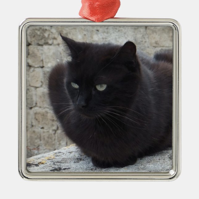 Metal ornamento personalizado de Cat Preta (Frente)
