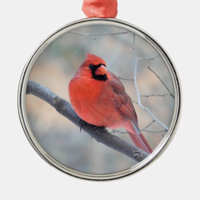 Metal Ornamento Personalizado de Creek Cardeal (Frente)