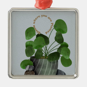 Metal Planta de Dinheiro Minimalista - Ornamento Quadrad