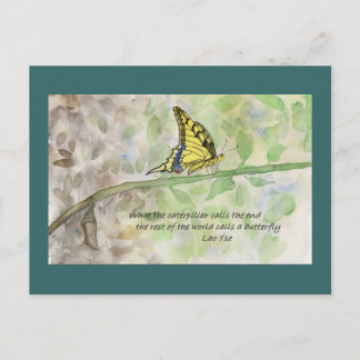 Metamorfose _1 cartão postal