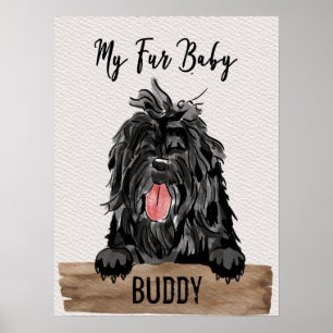 Meu Bebê De Pele Affenpinscher Mãe Poster