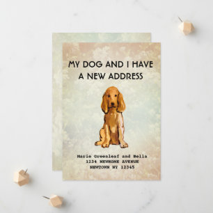 Meu cachorro e eu mudamos o anúncio