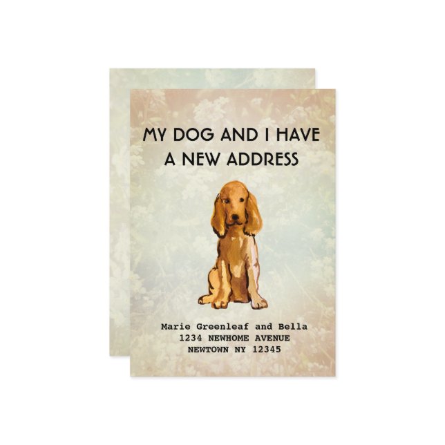 Meu cachorro e eu nos mudamos Anúncio (Frente/Verso In Situ)