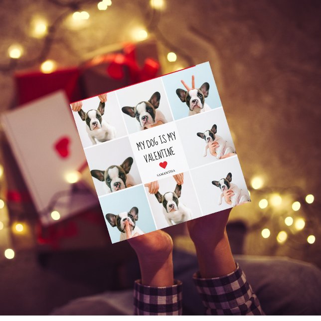 Meu Cachorro É Meu Namorados | Duas Fotografias De (Criador carregado)