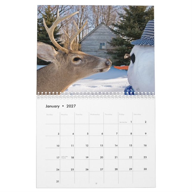 Meu calendário (Jan 2027)