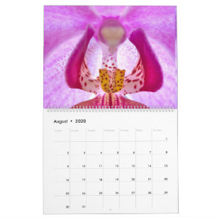 Meu calendário de fontes