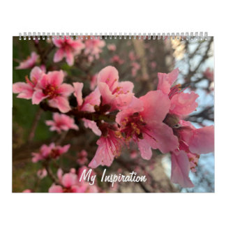 Meu calendário de Inspiração