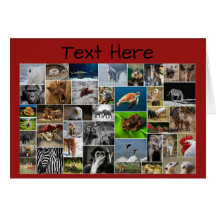 Meu Cartão de Saudação do Reino Animal, por qua