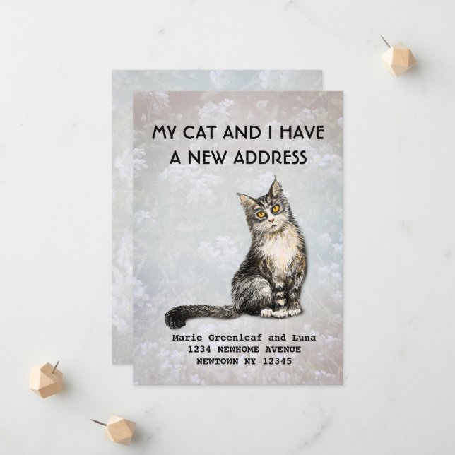 Meu gato e eu mudamos o anúncio (Frente/Verso In Situ)