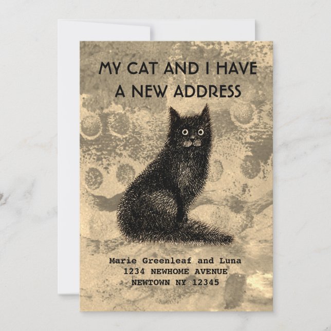 Meu gato e eu mudamos o anúncio (Frente)